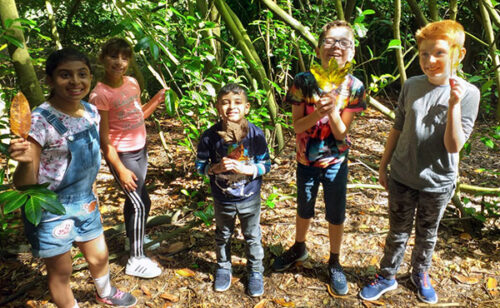 Activities Project - My Safety Net